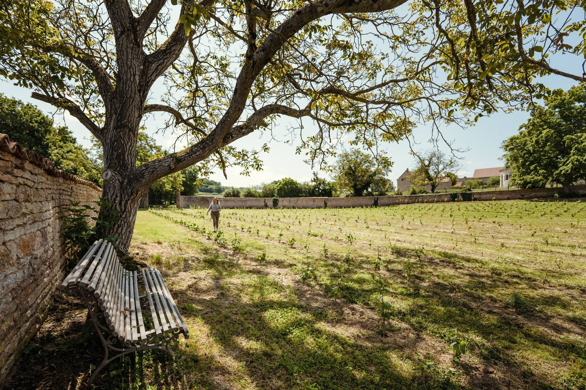 Le Clos des Dames de Lancharre 52