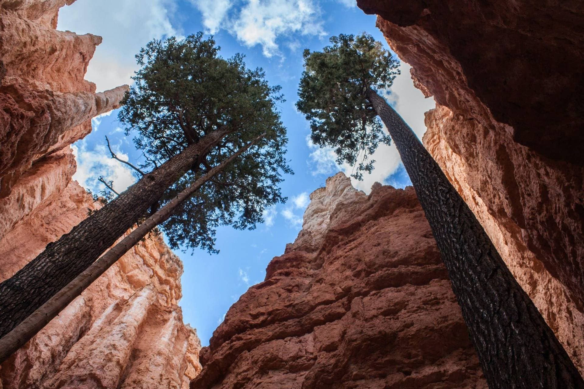 Under Canvas Bryce Canyon 31