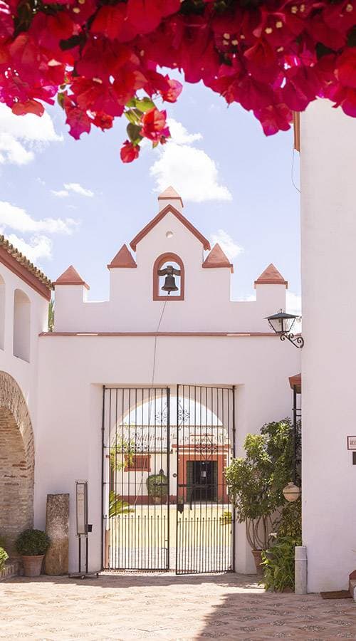 Hacienda de Orán 4