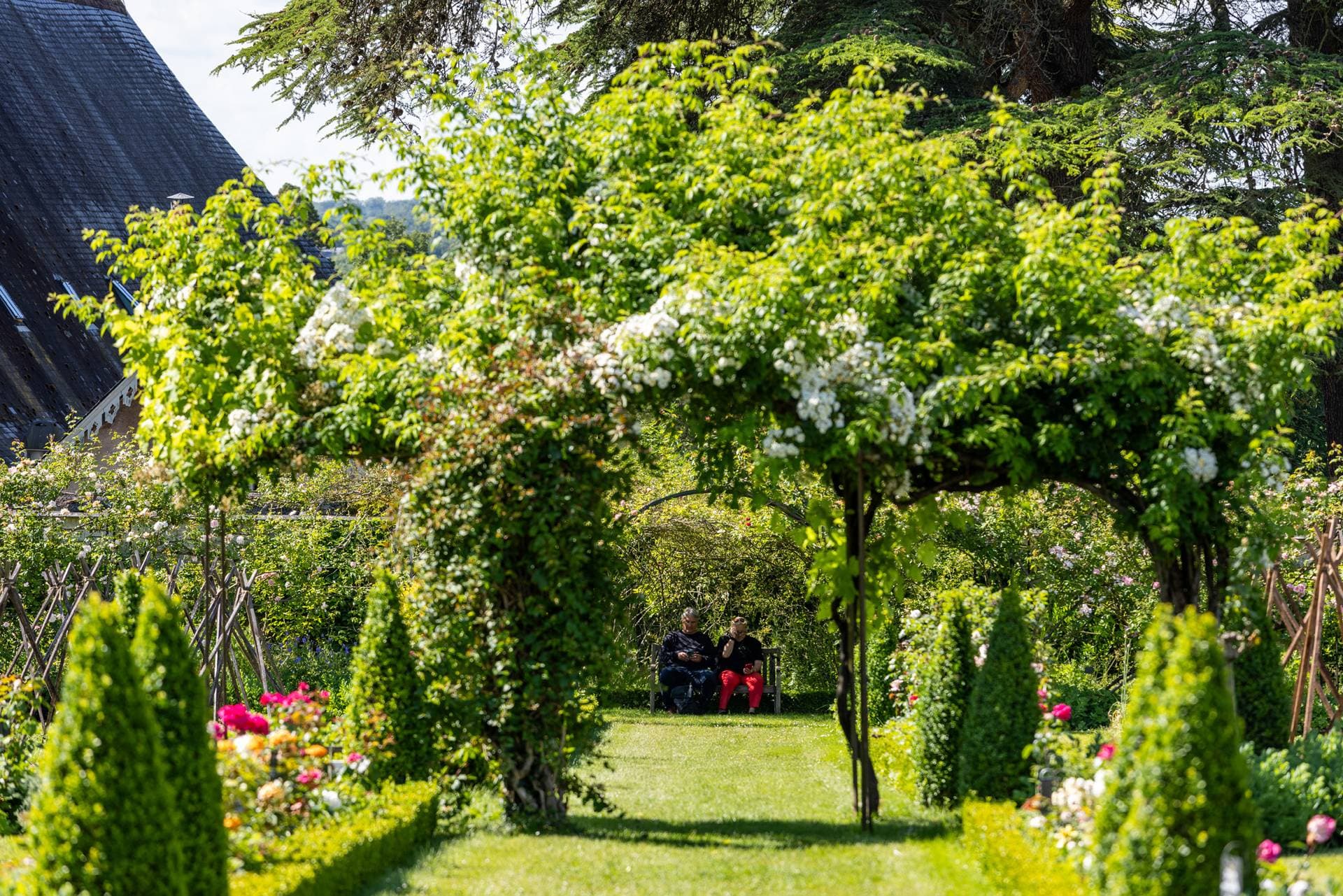Le Château de La Bourdaisière 13