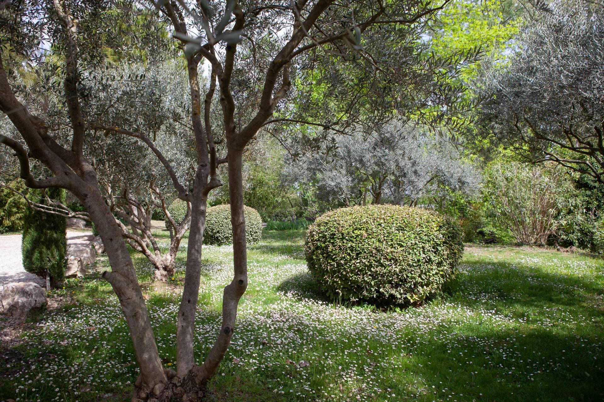 Le Domaine de Blanche Fleur 20