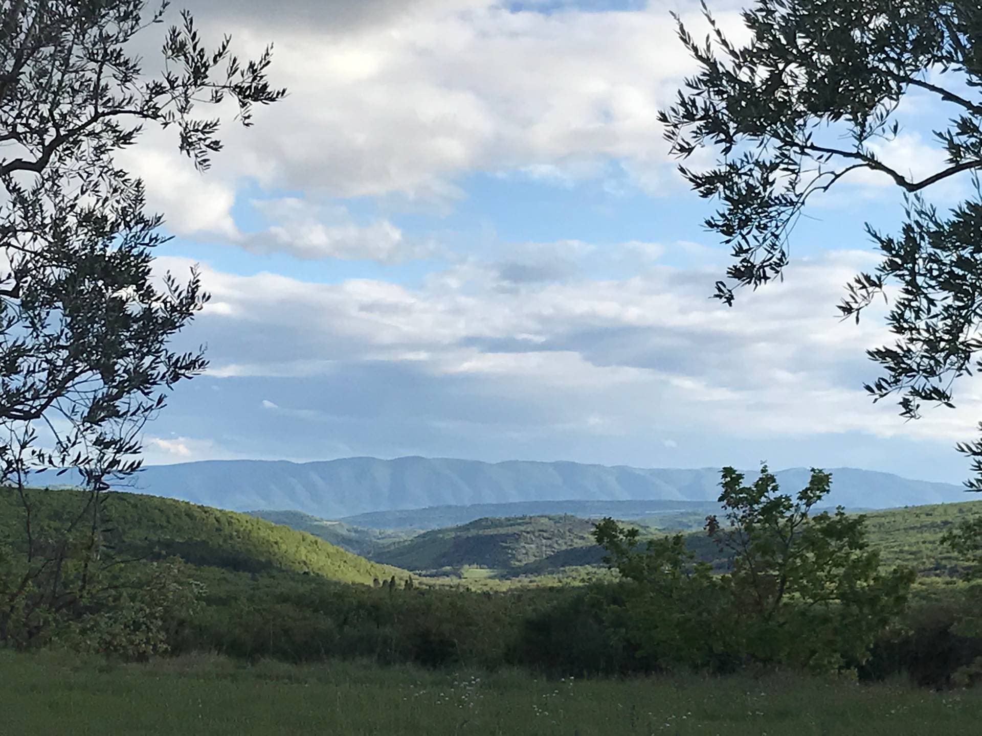 Le Domaine de Puyharas 32