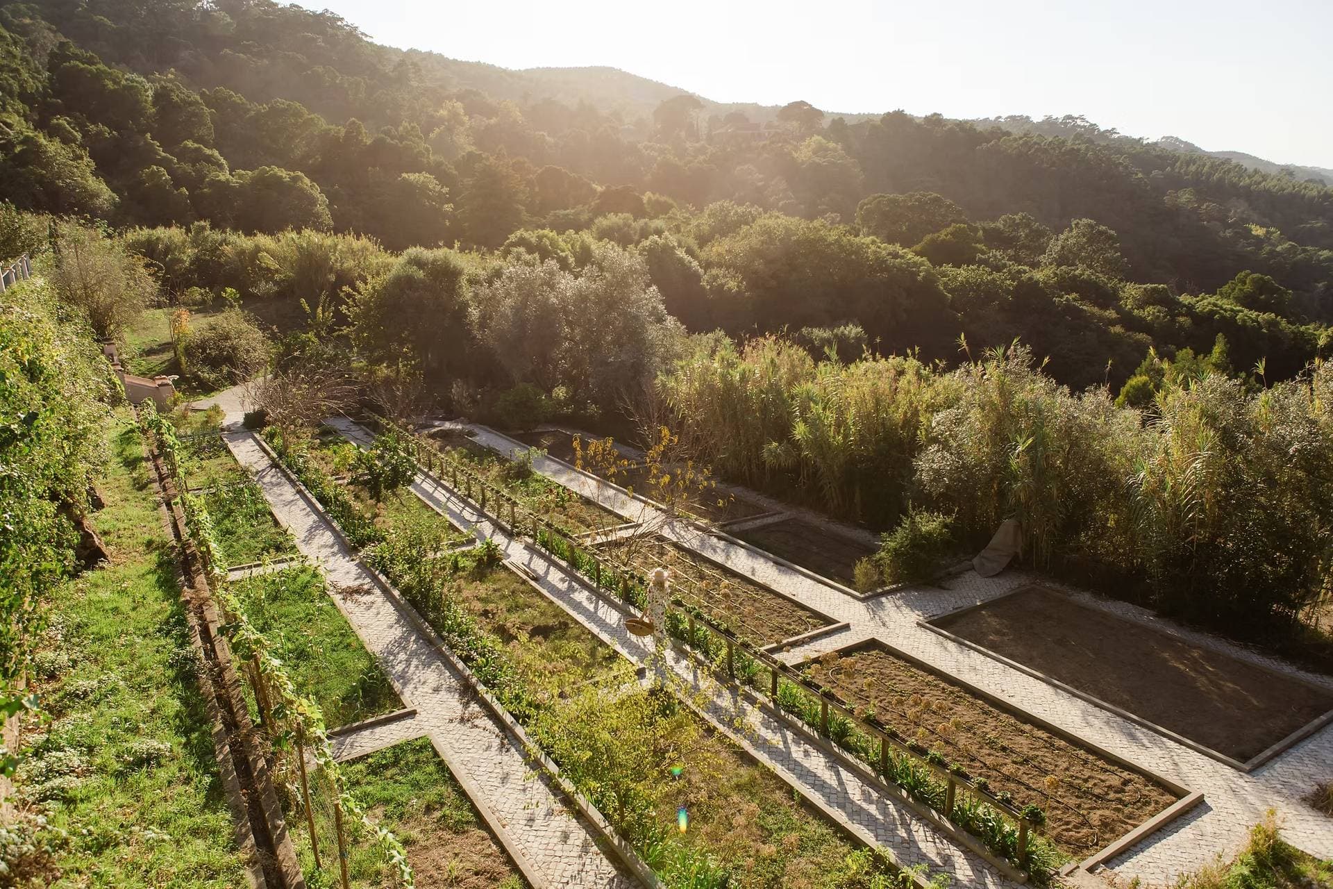Quinta da Bella Vista 5