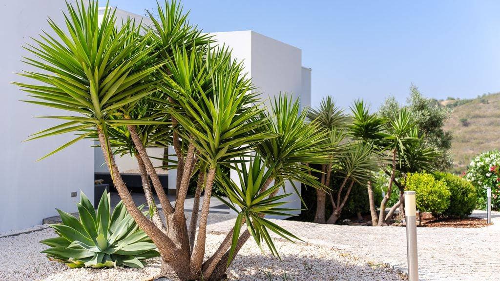 Villa Sernadinha 85