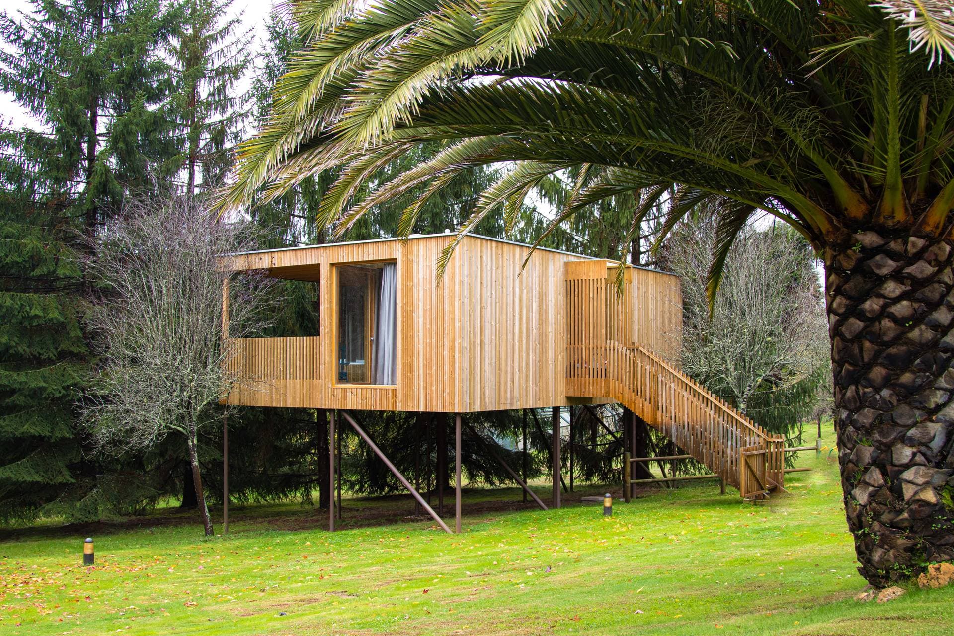 HolaCamp Camino 4