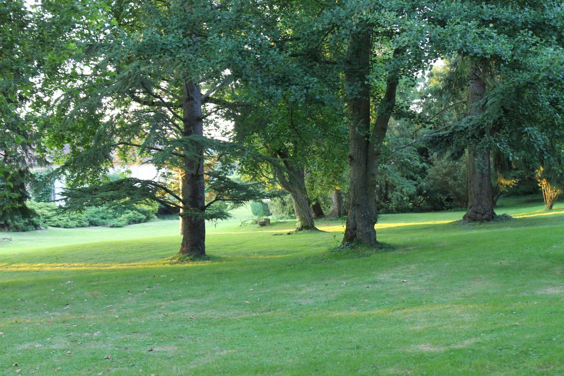 Le Manoir de Vacheresses 10