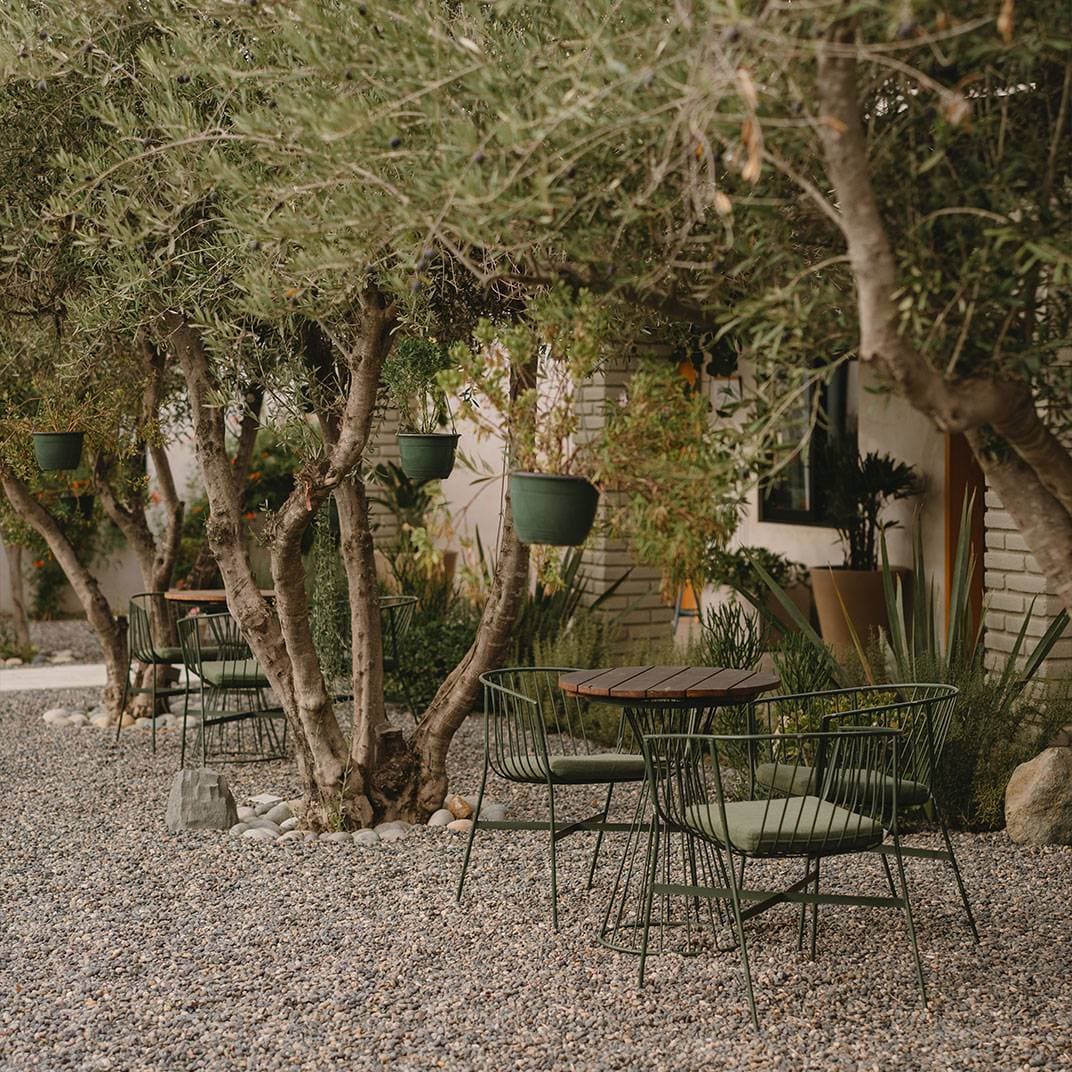 Casa Olivea 8
