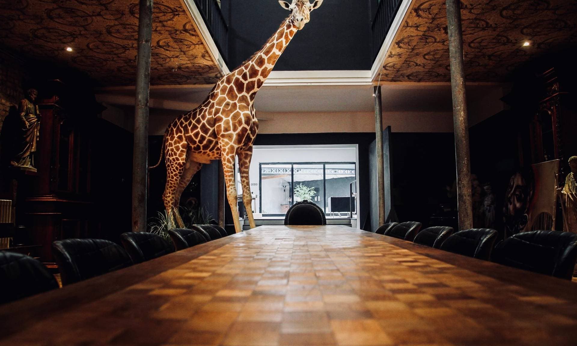 Le Loft Atypique  4