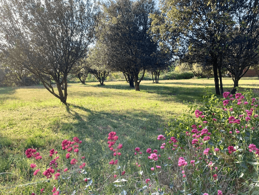 Le Mas Saint-Gens 19