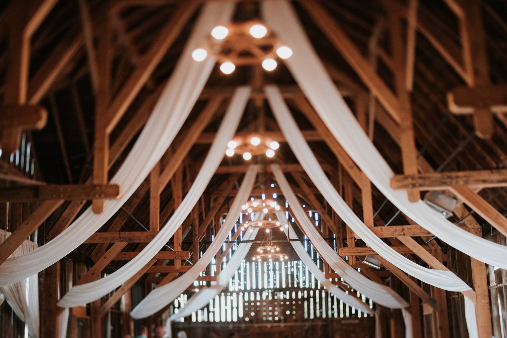 Shanahan's Barn 20