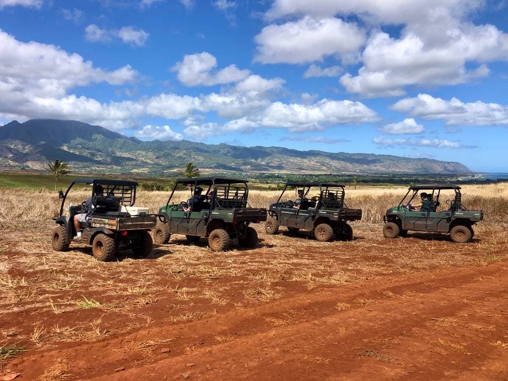 photo de North Shore Eco Tours