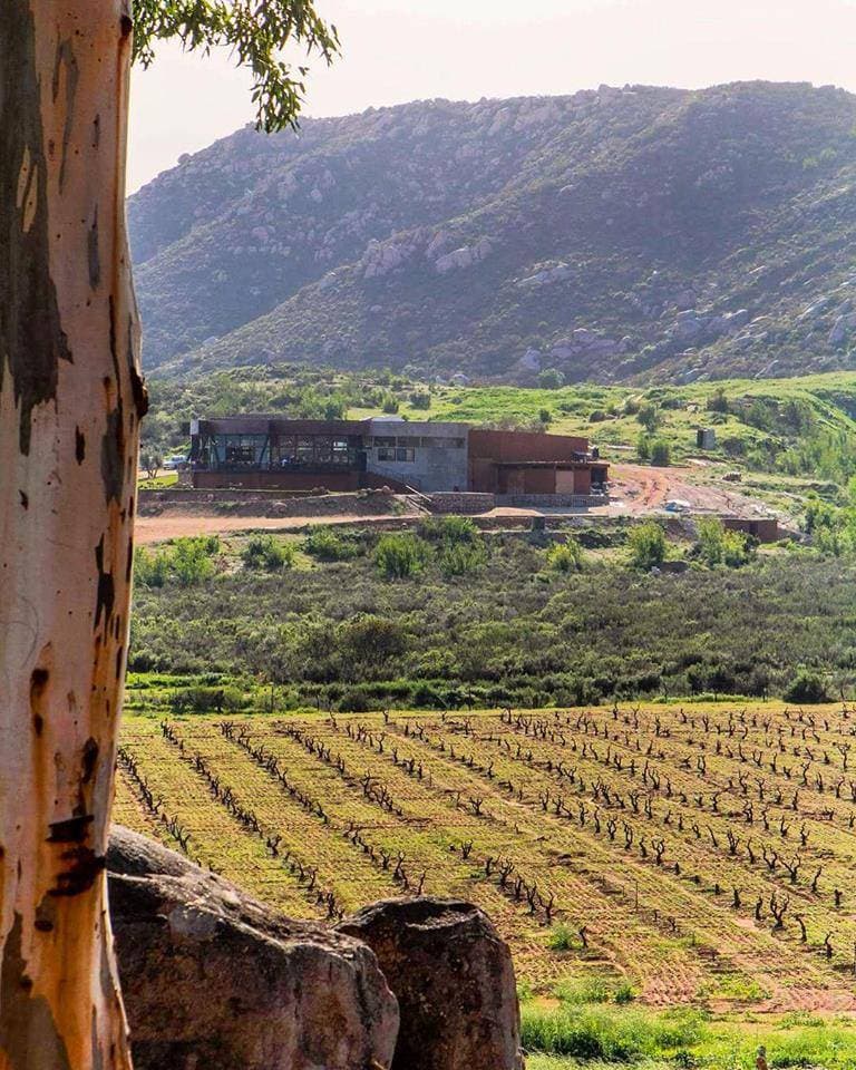 Decantos Vinícola 7