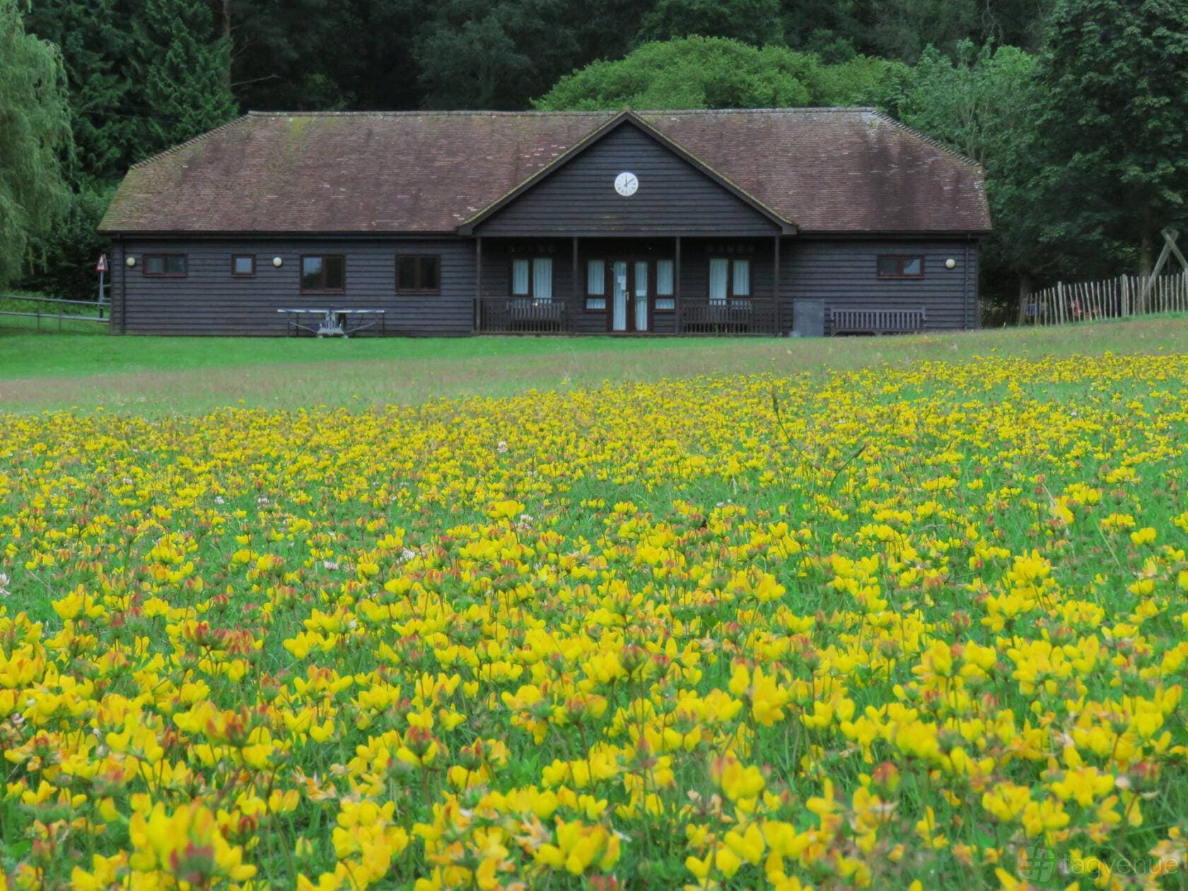 Hascombe Village Hall 24