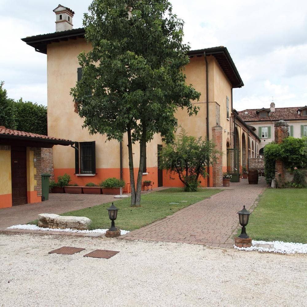 Chicco di Grano 17