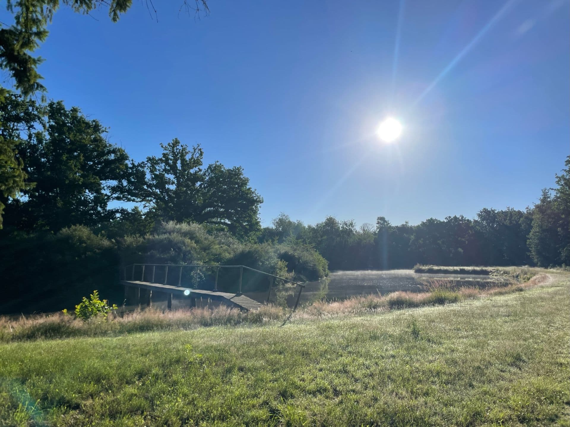 Le Domaine du Grand Nouer 29