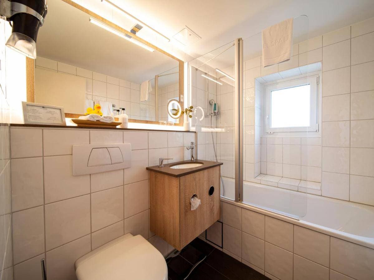 Hotel Spalentor Basel 33