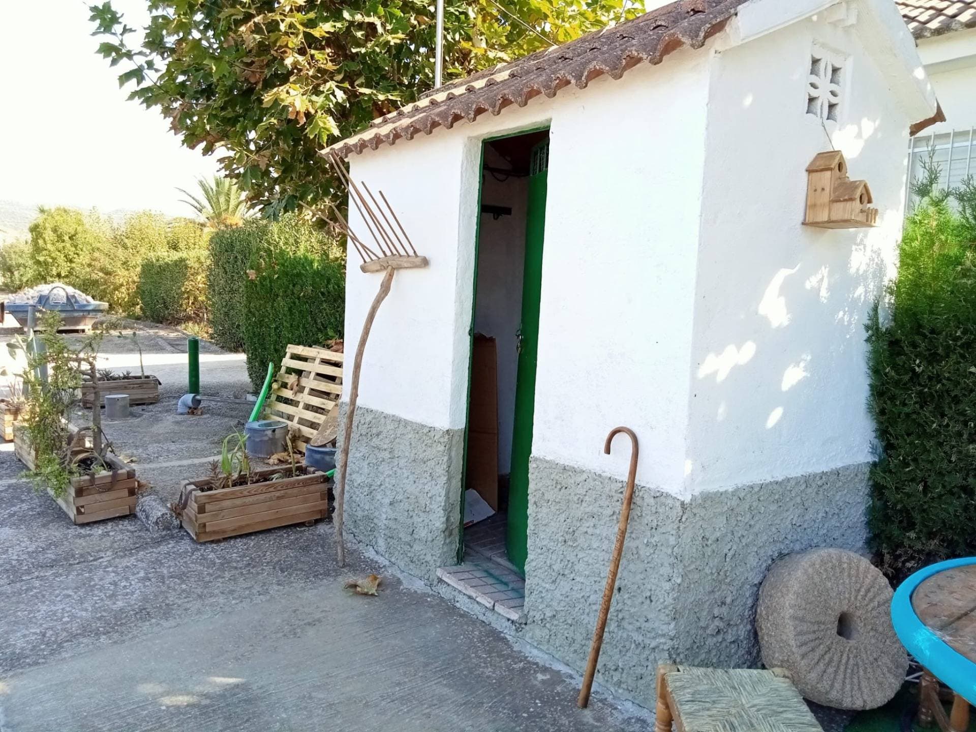 La Plazuela 8