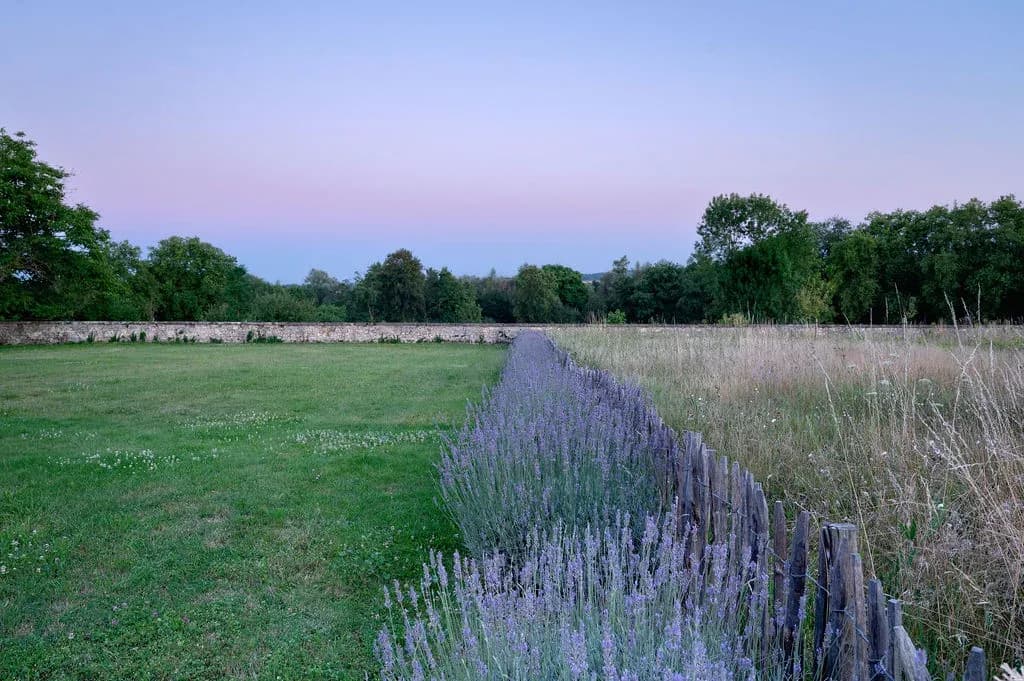 Le Manoir de Thiot 14
