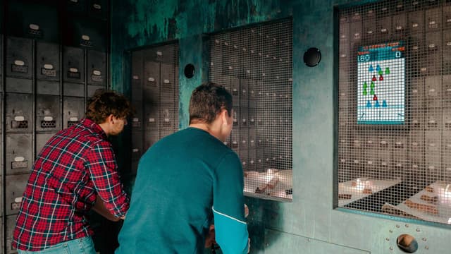 Formule Prison Island : William