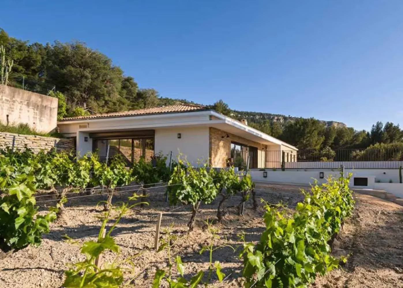 Domaine La Dona Tigana 1