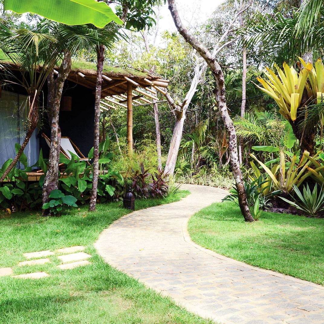 Butterfly House Bahia 2