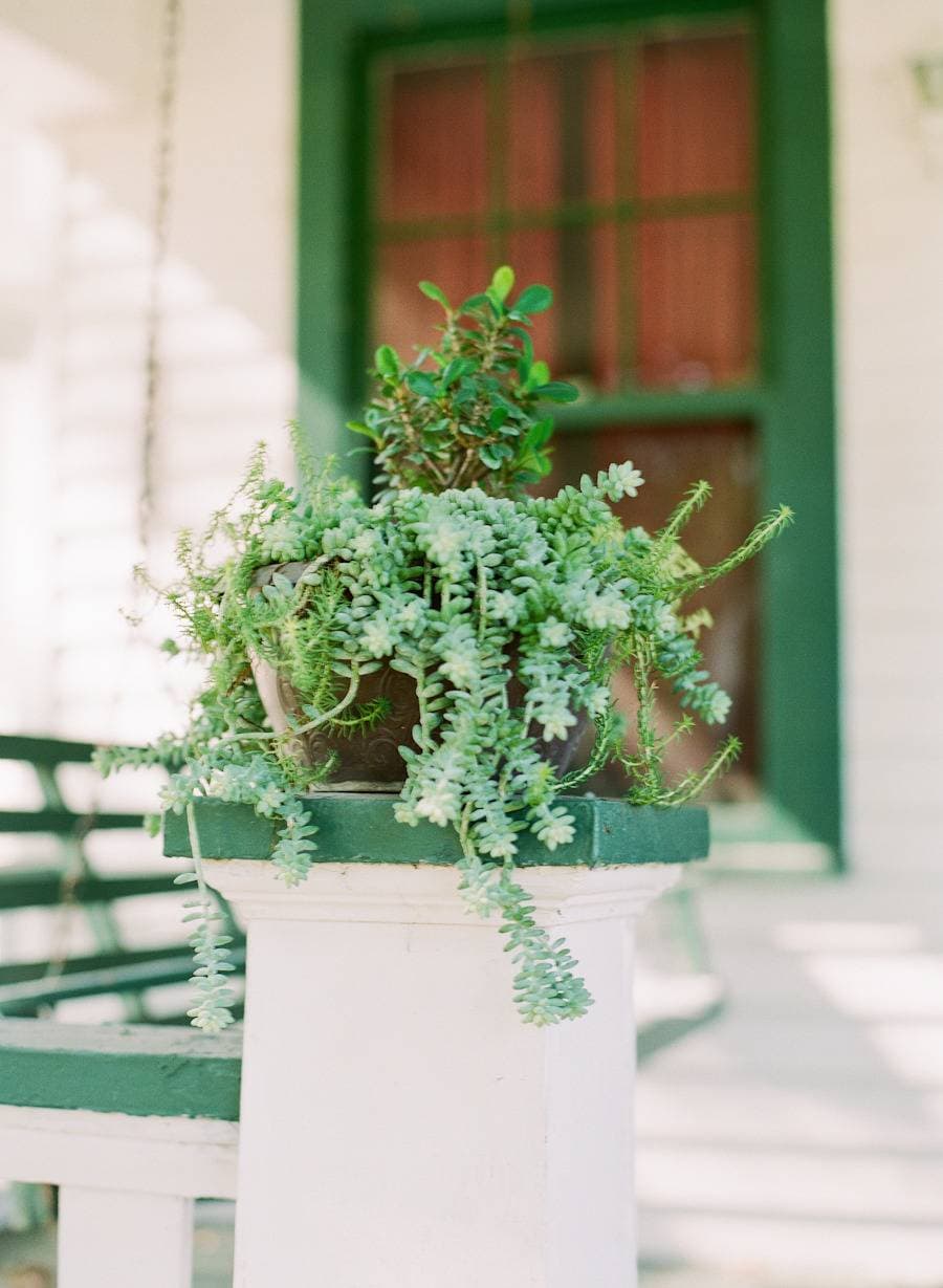Kuhs Estate & Farm 15
