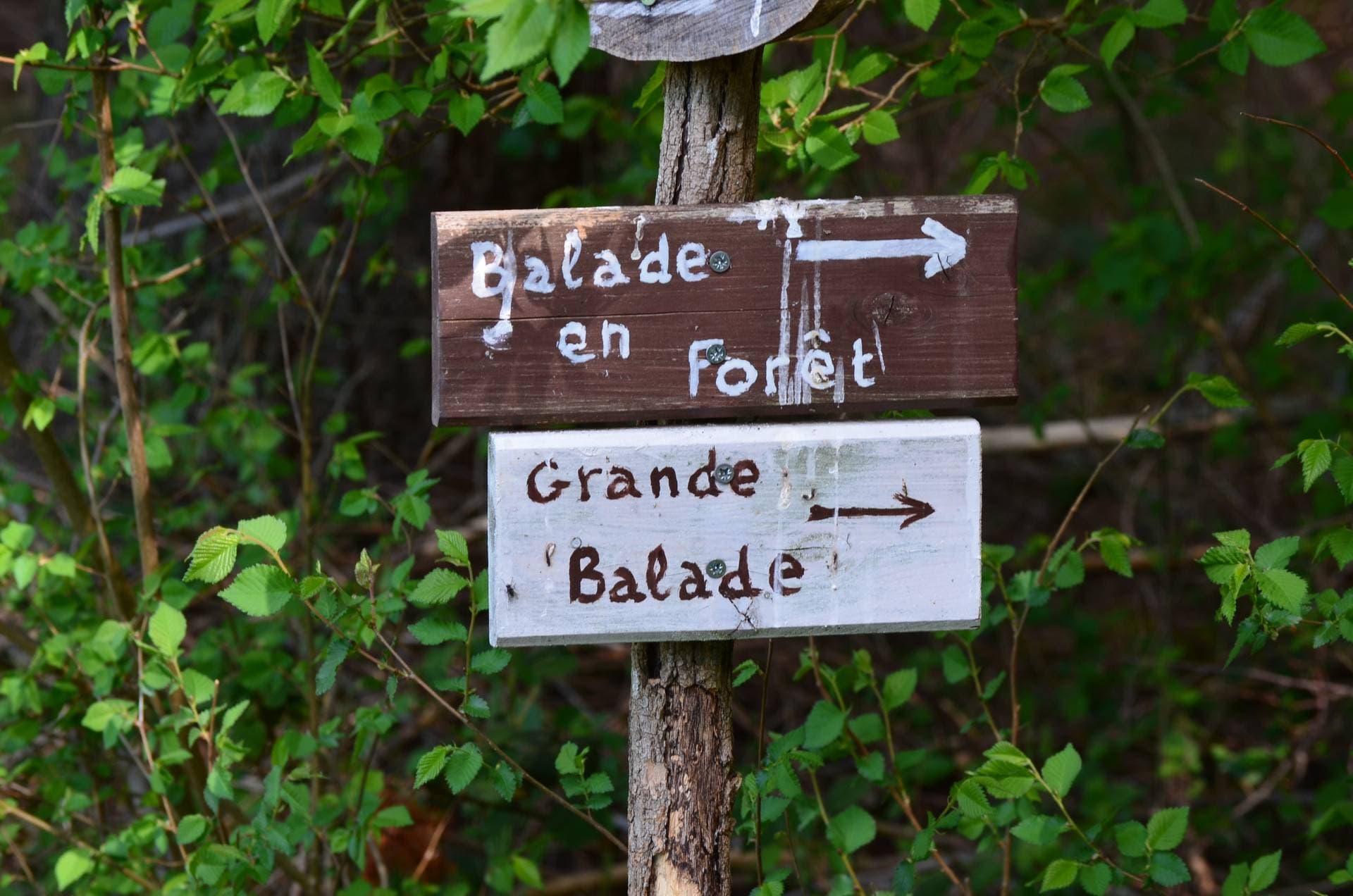 La Tuilerie de Talouan 71