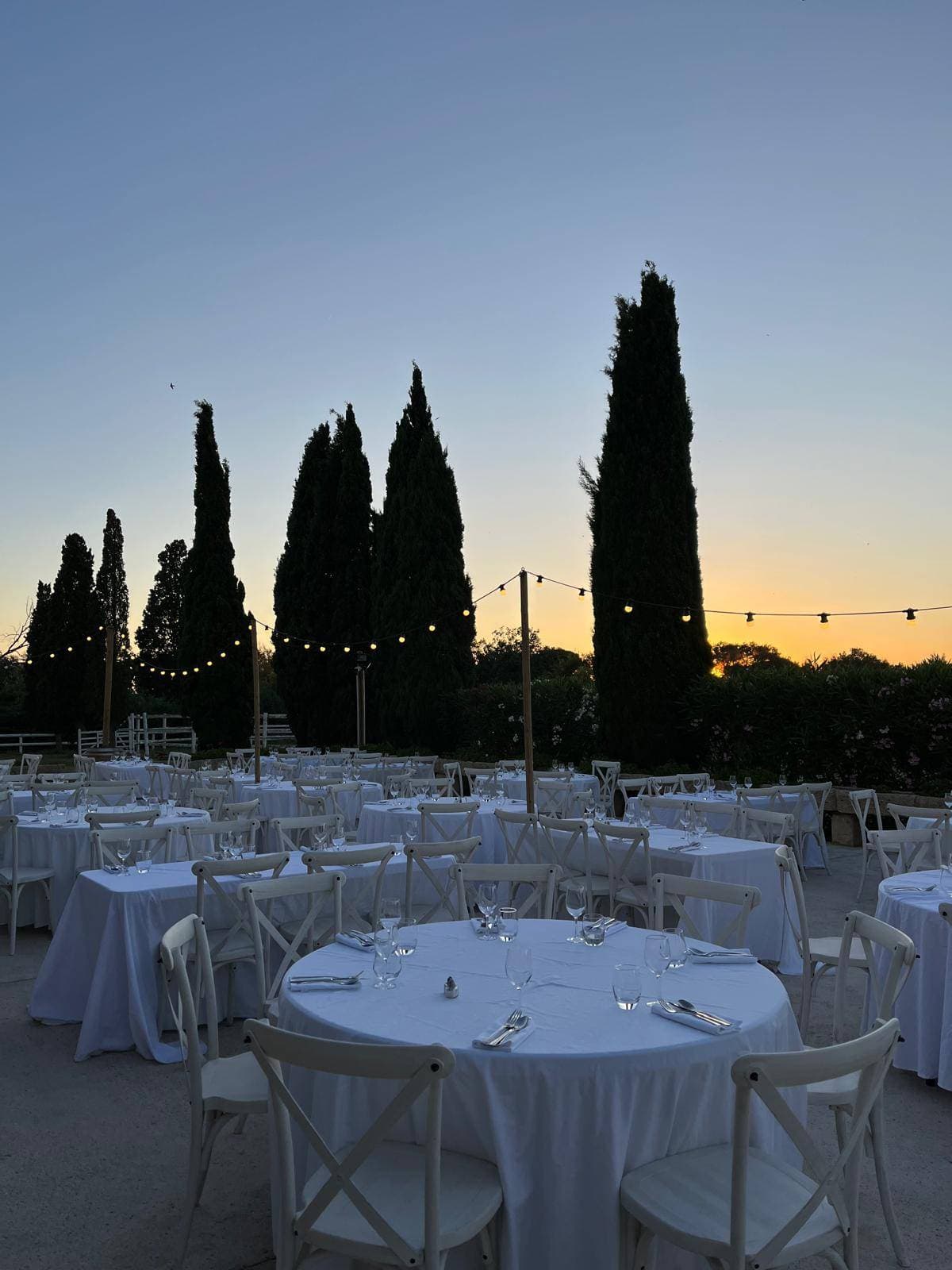 Domaine Le Sauvage 22