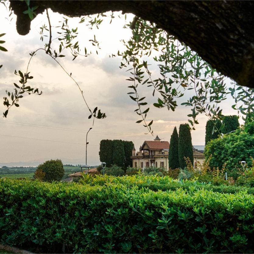 Stella d'Italia 8