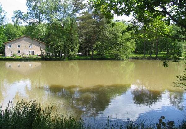 Les Gîtes de la Grande Haye 17