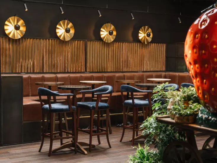 Dublin – Ruby Molly 10