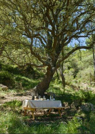 Torre del Marqués Hotel Spa & Winery - Small Luxury Hotels 1