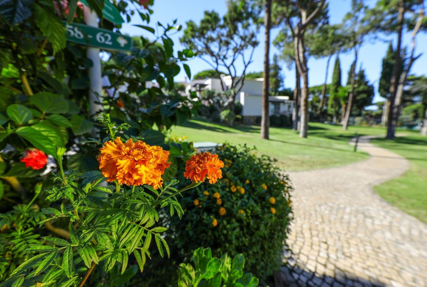 Four Seasons Country Club 10