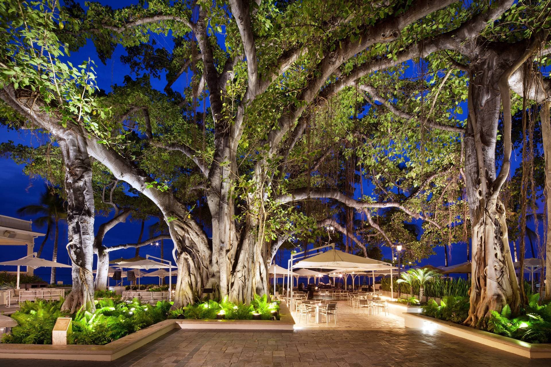 Moana Surfrider, A Westin Resort & Spa, Waikiki Beach 54