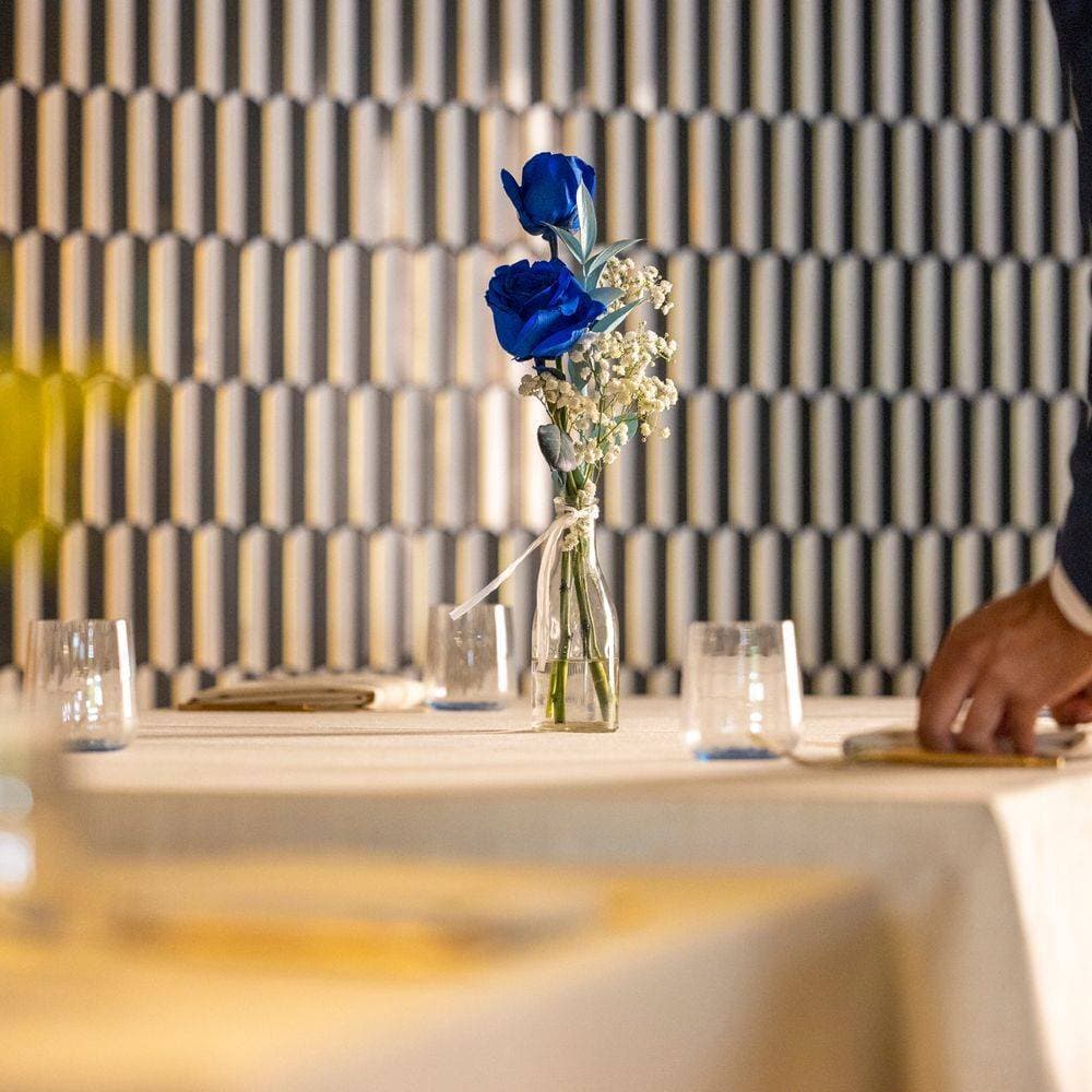 Toy Ristorante 3