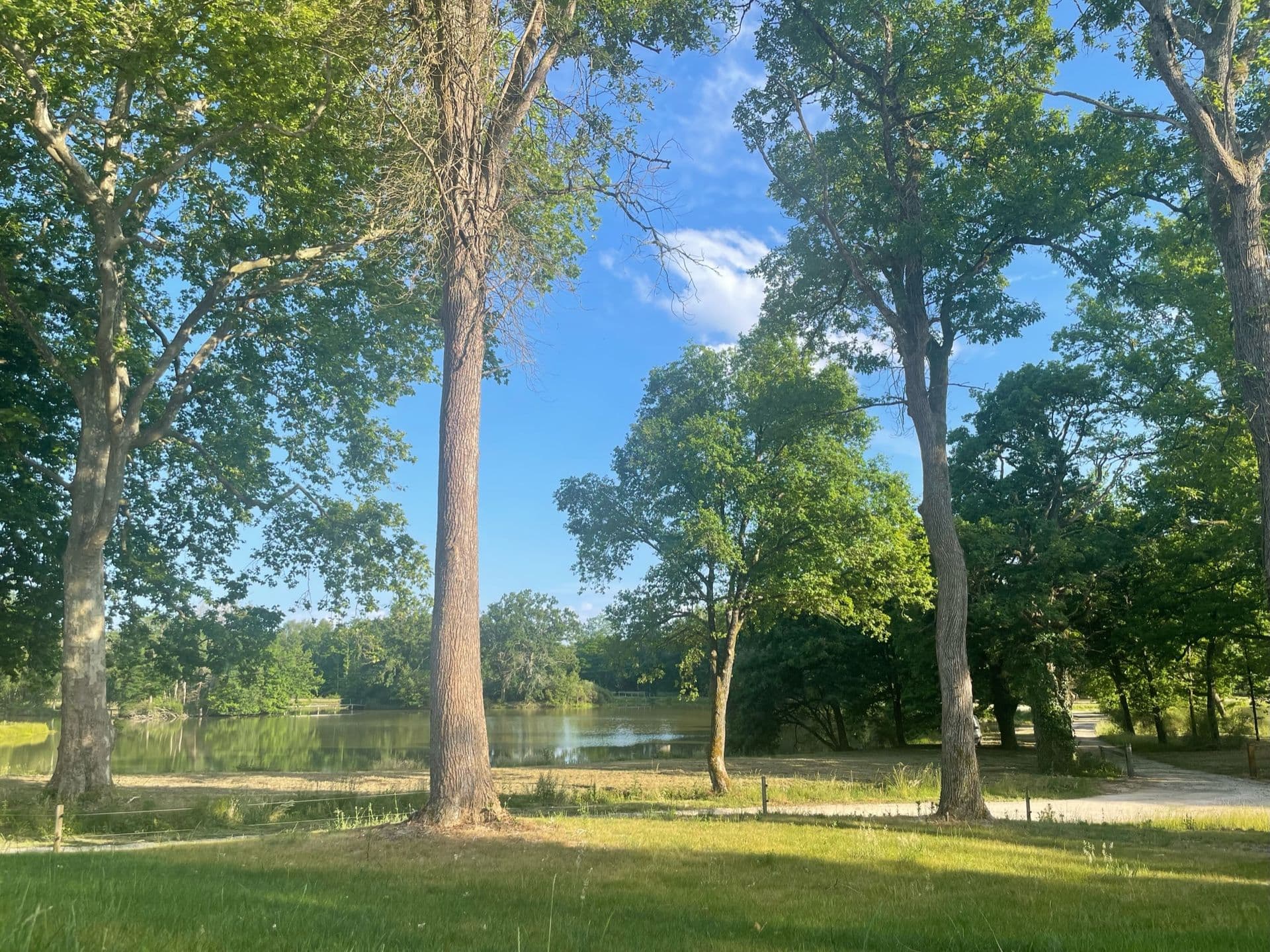 Le Domaine du Grand Nouer 31