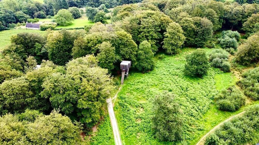 Étape en Forêt 16