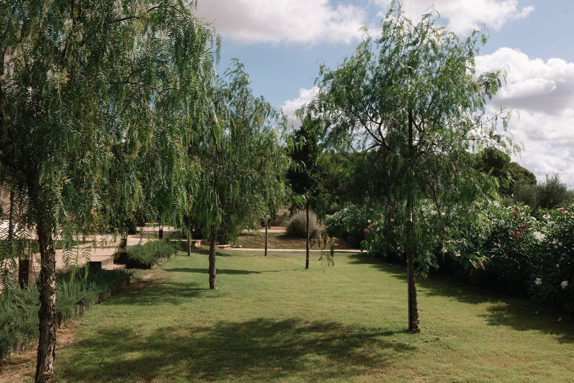 Finca La Concertista 8