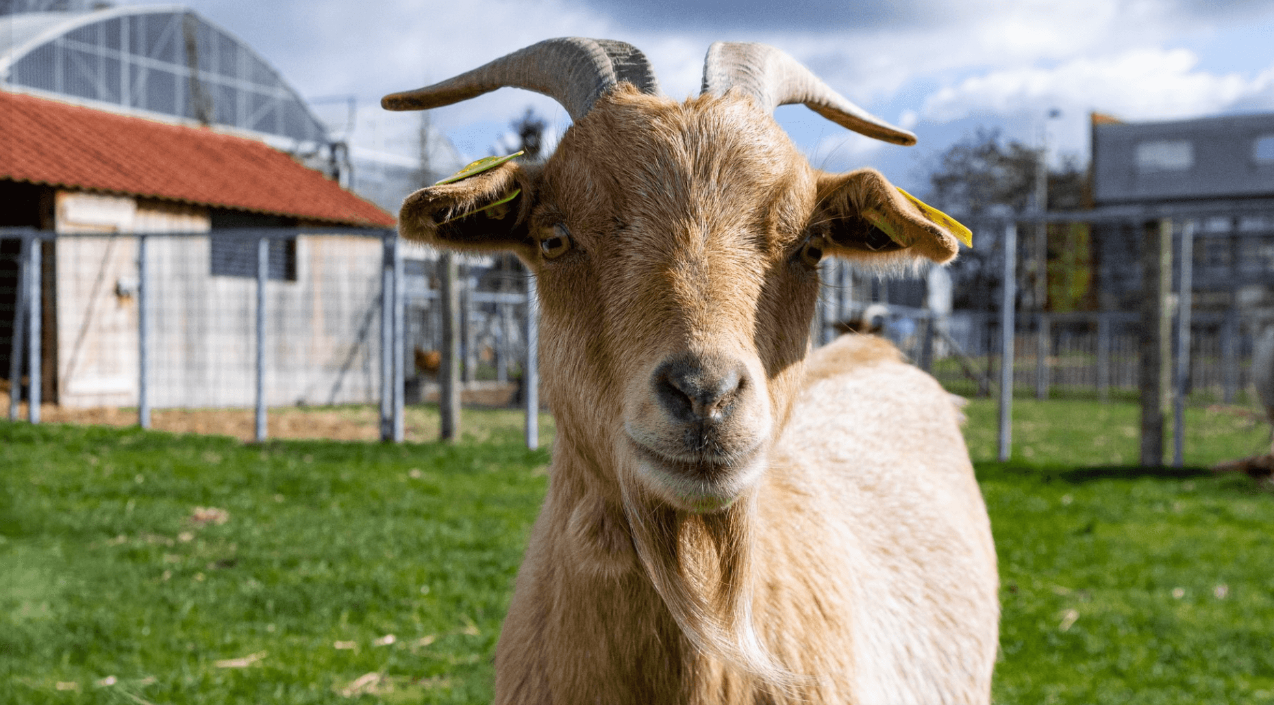 La Ferme de Gally - Saint Denis 20