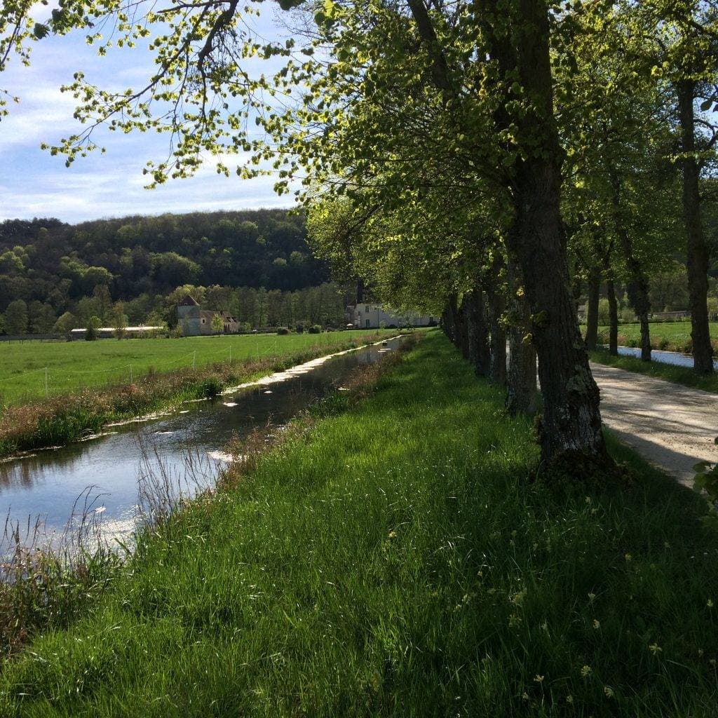 L'Abbaye de Reigny et le logis Saint-François 38
