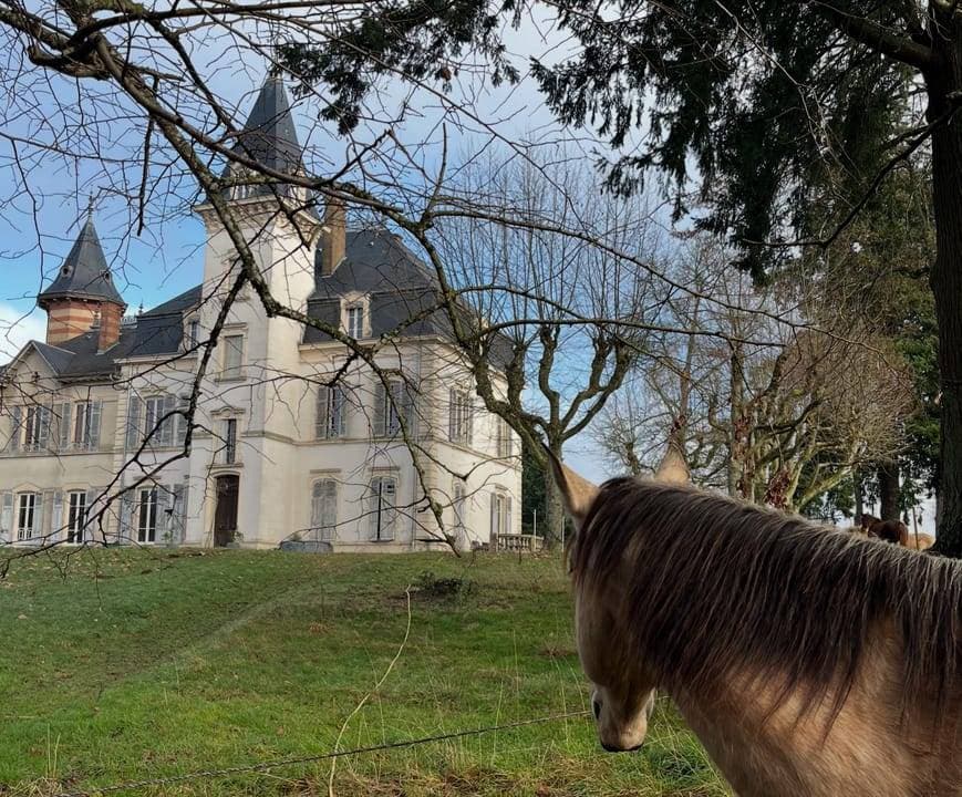 Château la Gentille 3