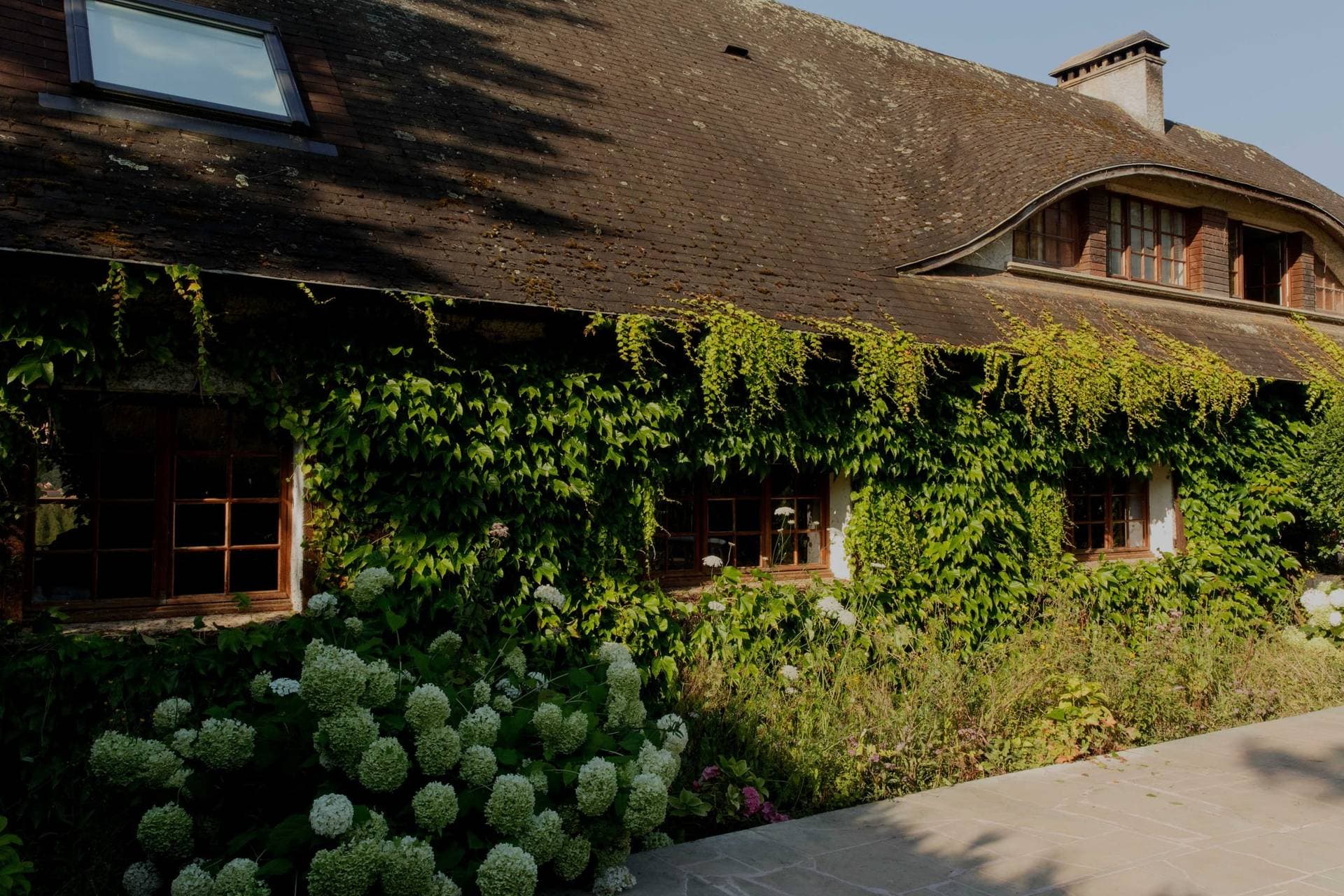 Domaine Foray 1