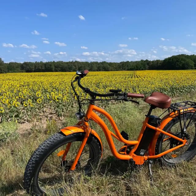 VTT électrique - Sortie de 3 heures