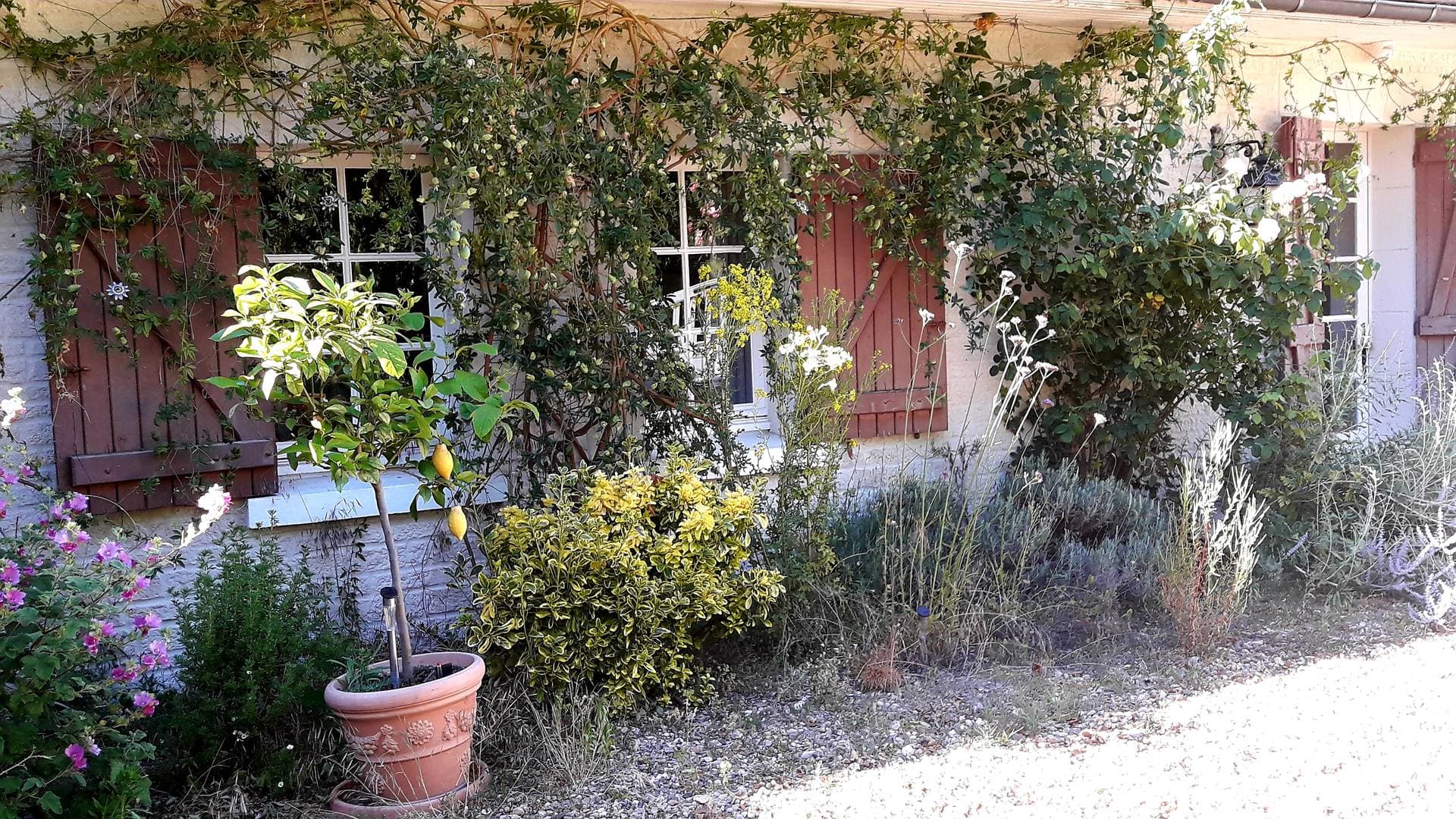 Longère familiale 17