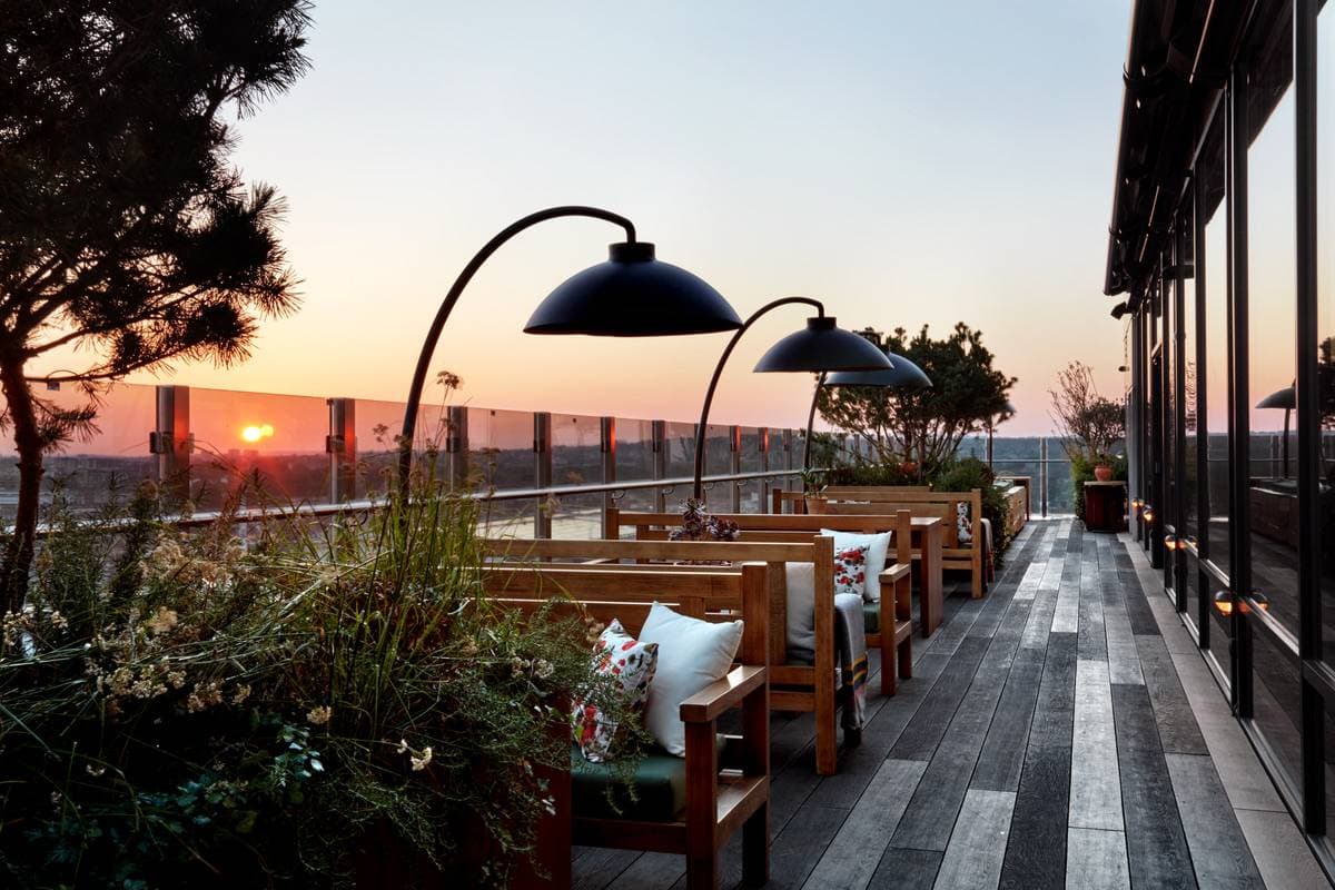 The nest and Roof Terrace