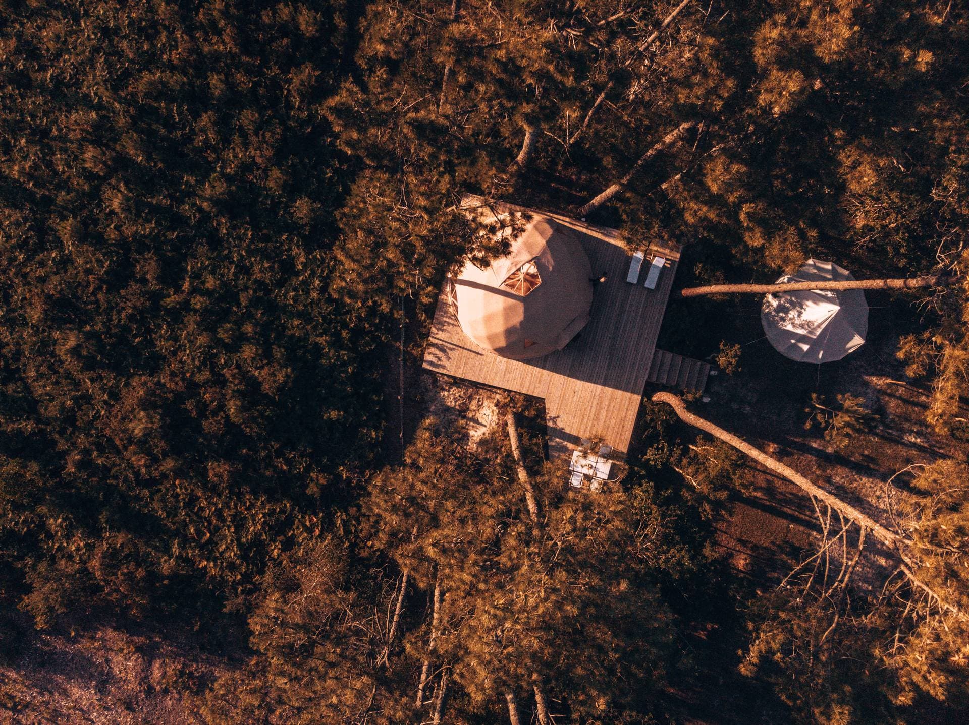 Les maisons Ocean Shelter 47