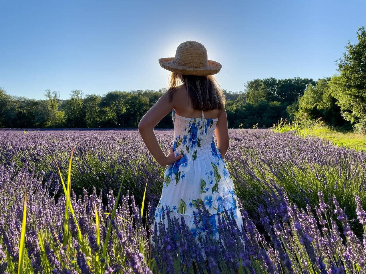 Le Domaine de Gressac 35