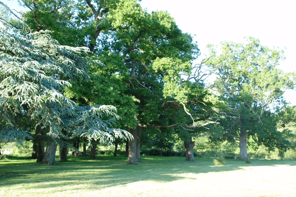 Le Domaine de Pierre Levée 14