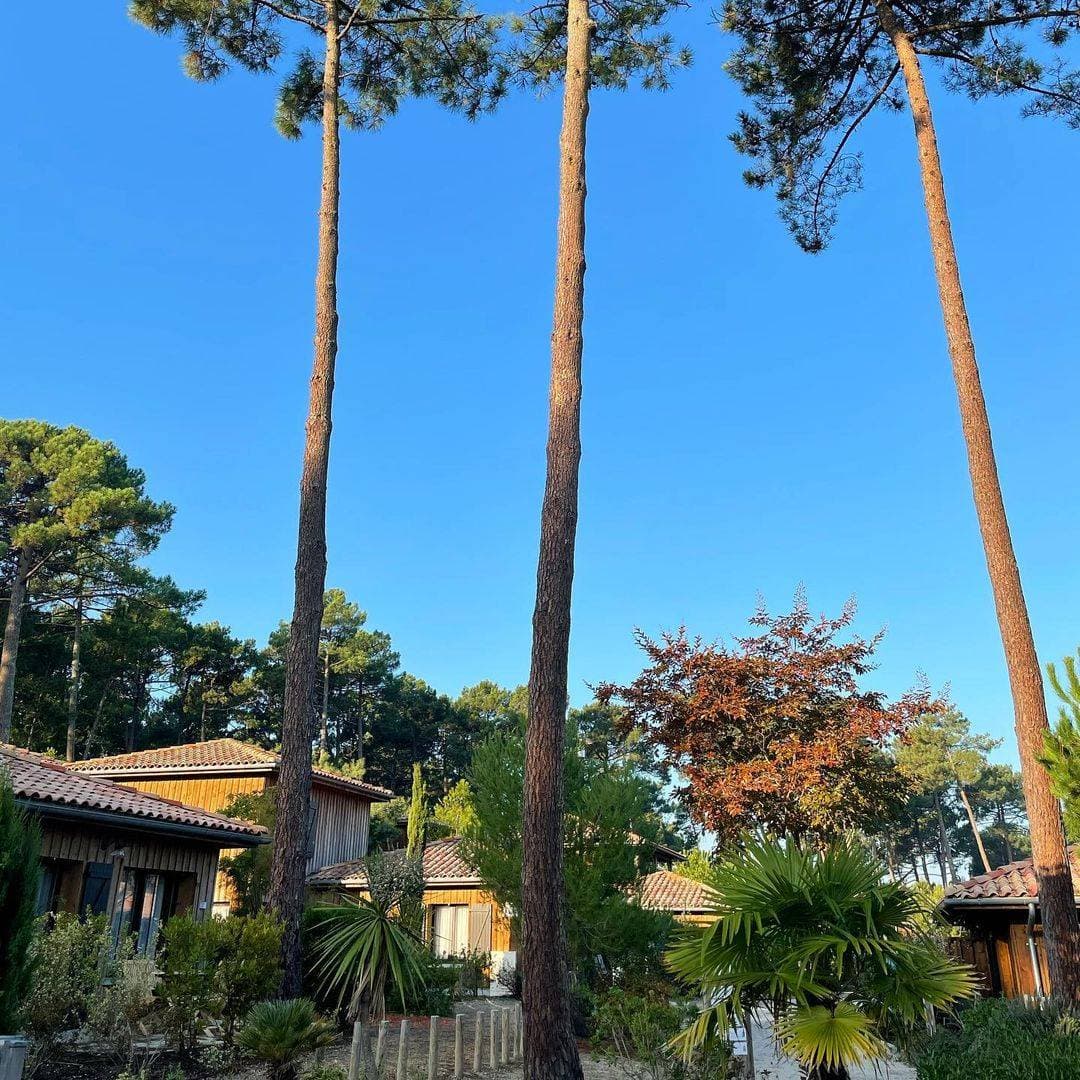 Le Domaine du Ferret 17