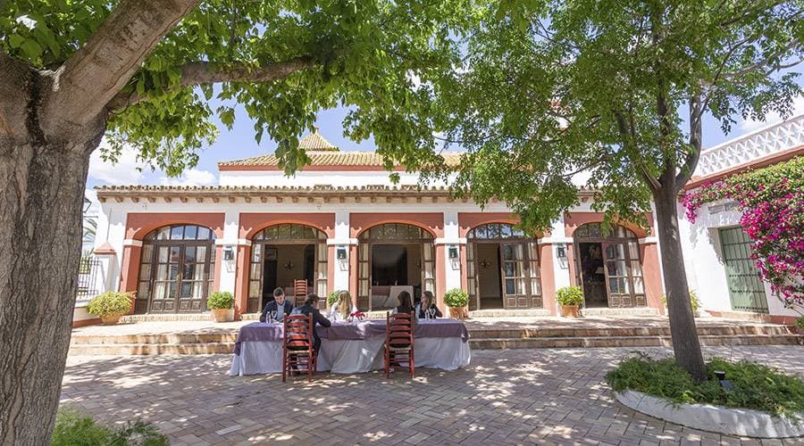 Hacienda de Orán 3